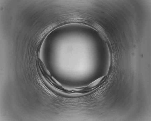 X0000054410389200508011328