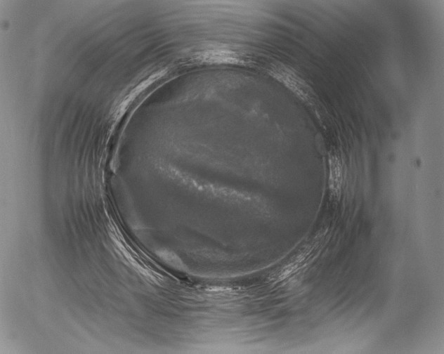 X0000054410390200508011328