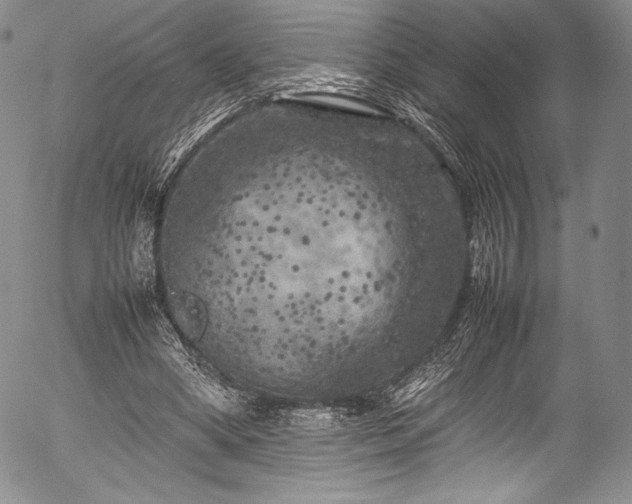 X0000054410394200508011327