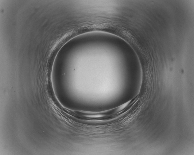 X0000054410395200508011327