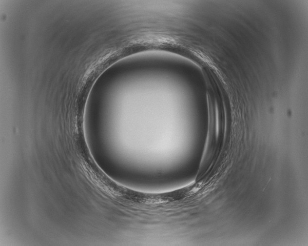 X0000054410399200508011327
