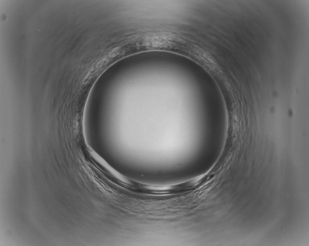 X0000054410401200508011327
