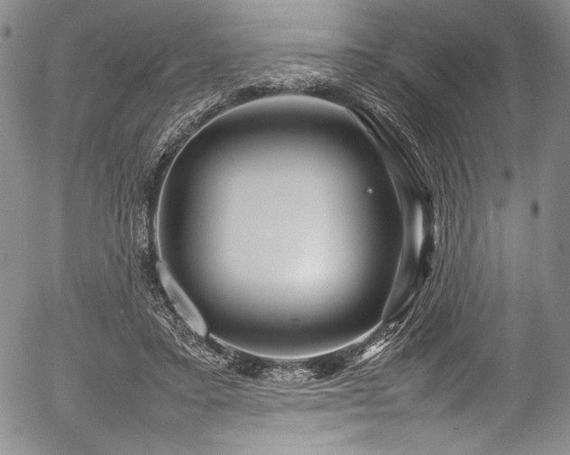 X0000054410403200508011327