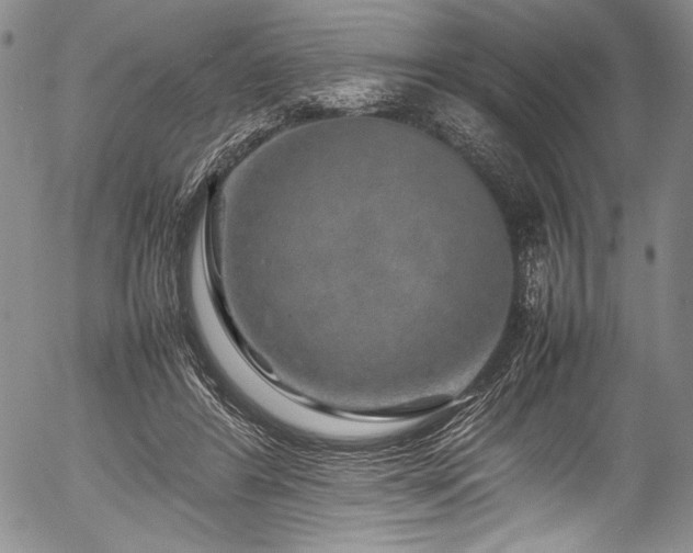X0000054410404200508011327