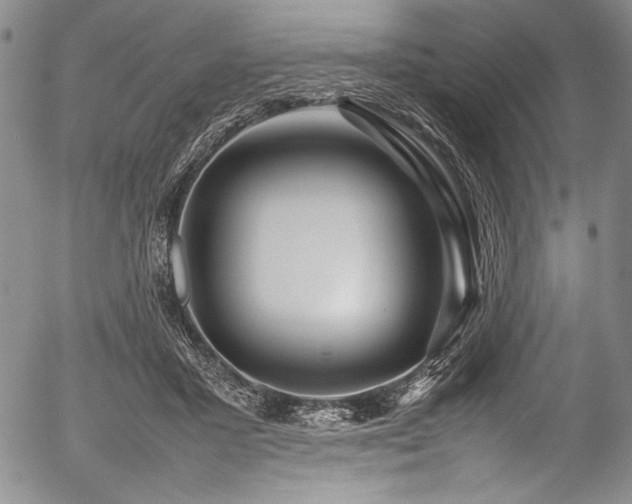 X0000054410407200508011327
