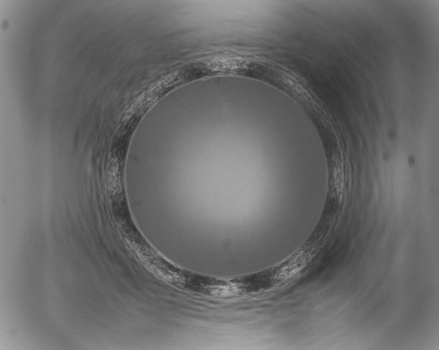 X0000054410411200508011327