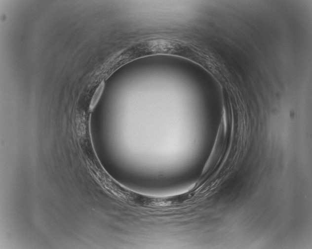 X0000054410413200508011327