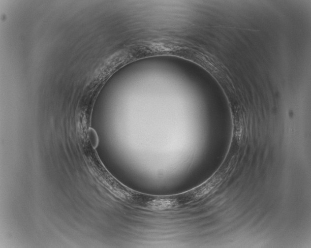 X0000054410418200508011327