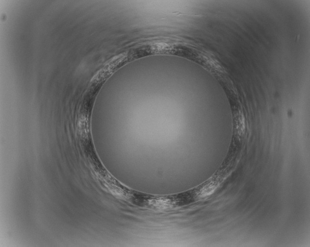 X0000054410419200508011327