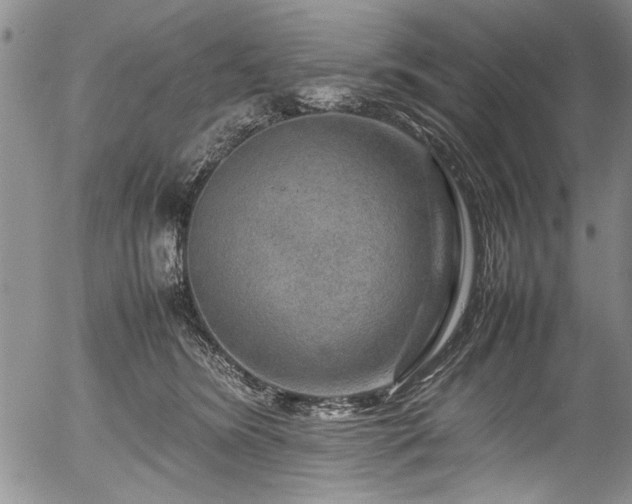 X0000054410420200508011327