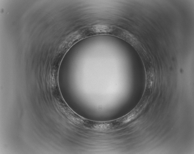 X0000054410422200508011327
