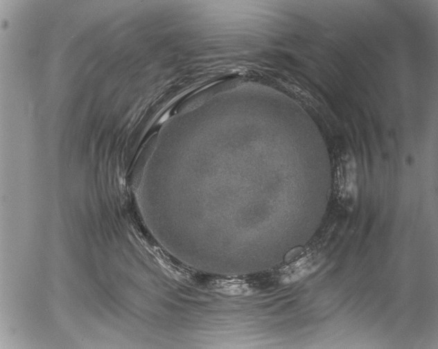 X0000054410424200508011327