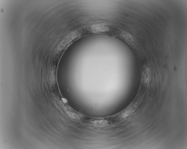 X0000054410426200508011327
