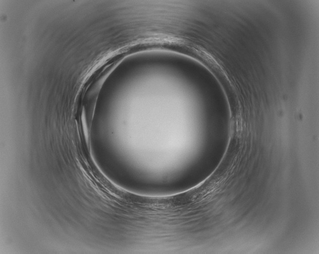 X0000054410436200508011326
