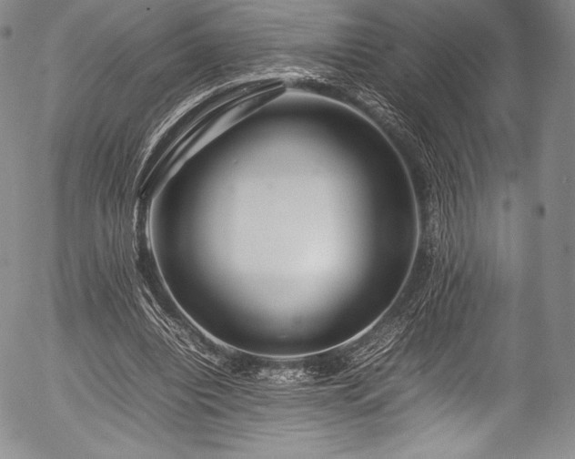 X0000054410440200508011326