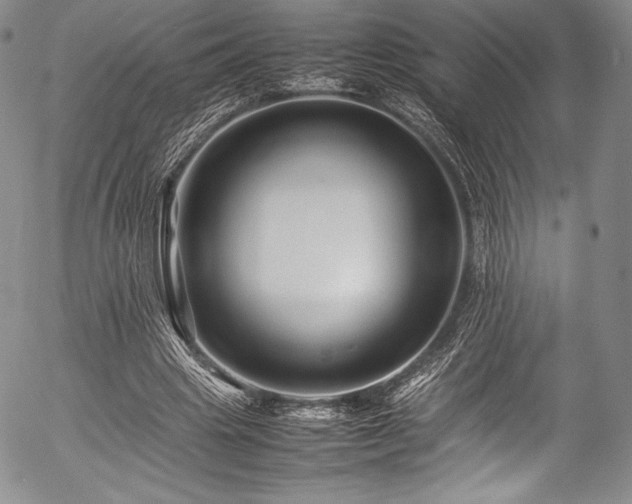 X0000054410441200508011326