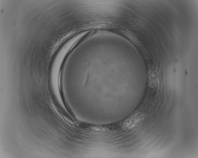 X0000054410442200508011326