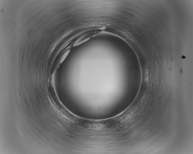 X0000054410444200508011326