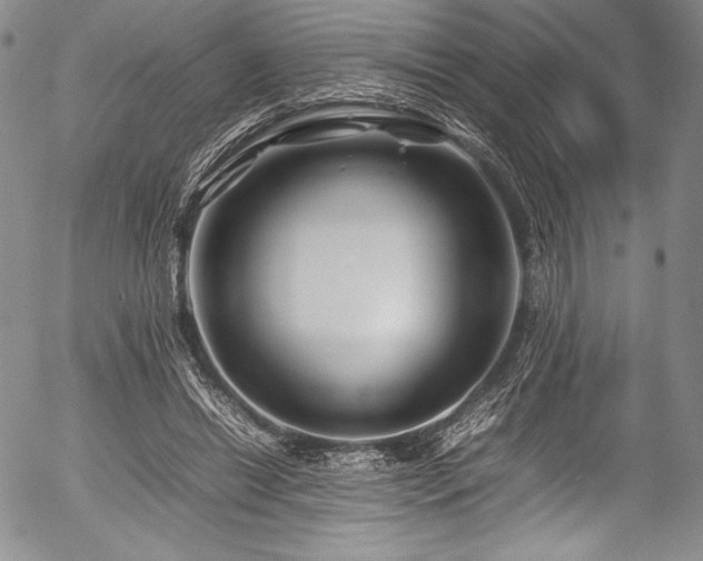 X0000054410446200508011326