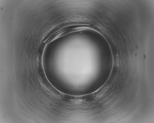 X0000054410448200508011326