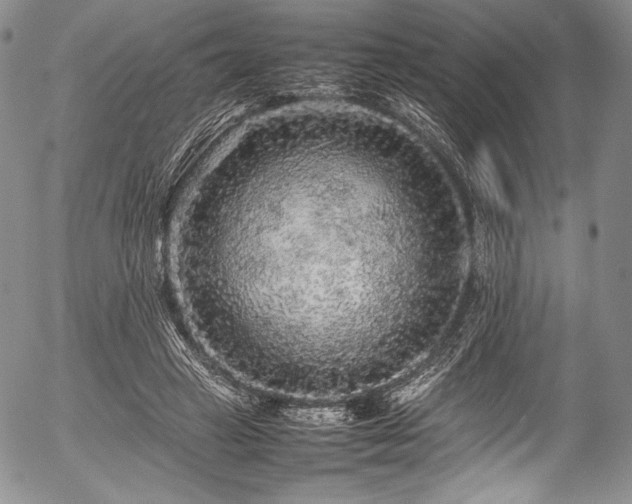 X0000054410449200508011326