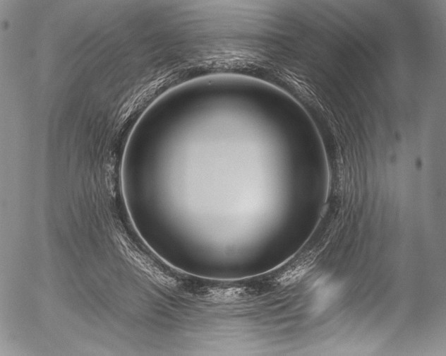 X0000054410450200508011326