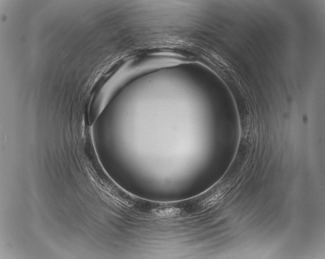 X0000054410452200508011326