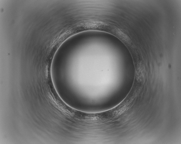 X0000054410454200508011326