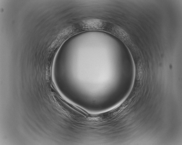 X0000054410457200508011326