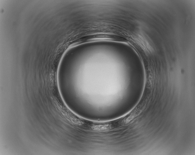 X0000054410461200508011326