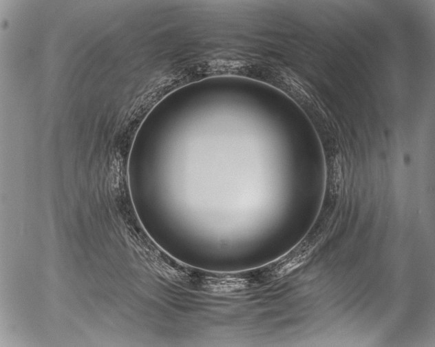 X0000054410463200508011327