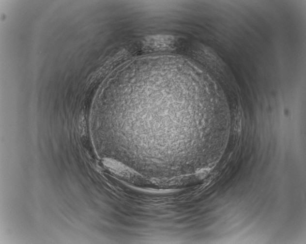 X0000054410465200508011327