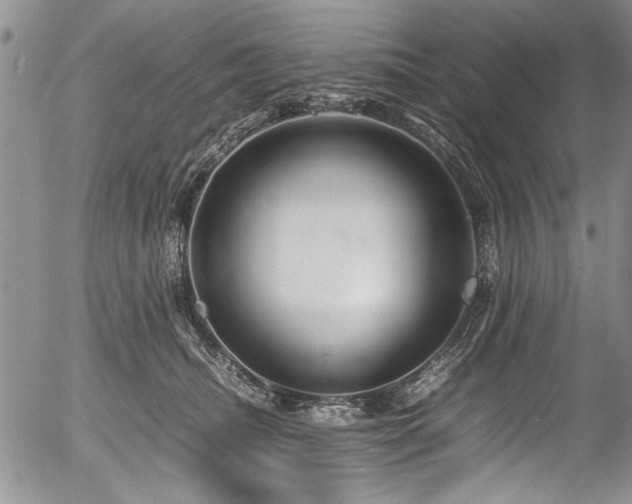 X0000054410468200508011327