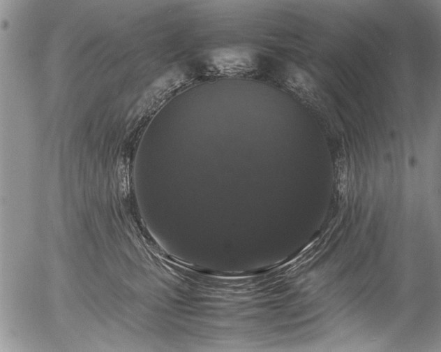 X0000054410471200508011327