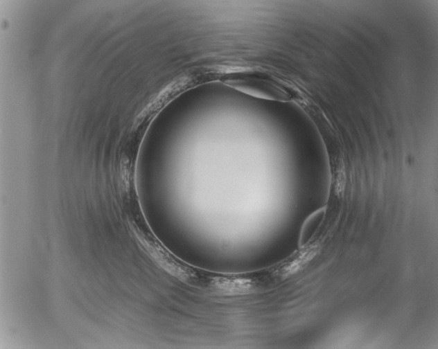 X0000054410476200508011327