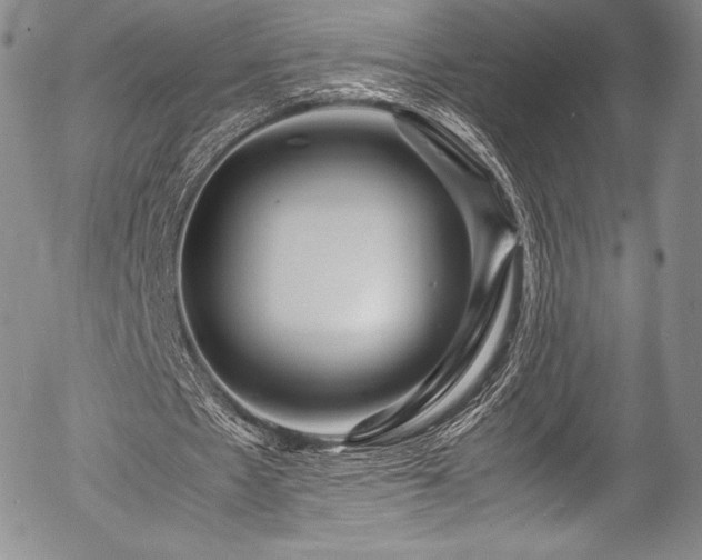 X0000054410481200508011326