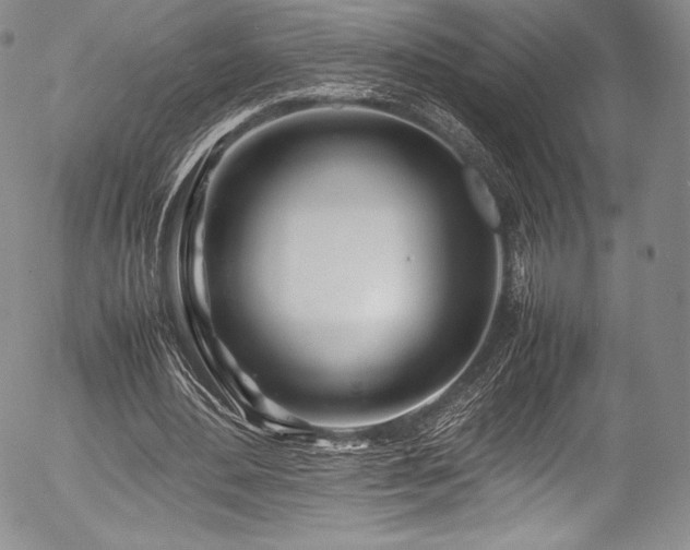 X0000054410484200508011326