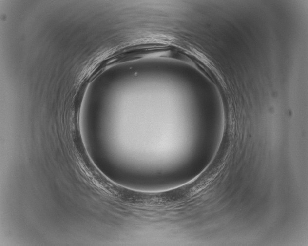 X0000054410485200508011326