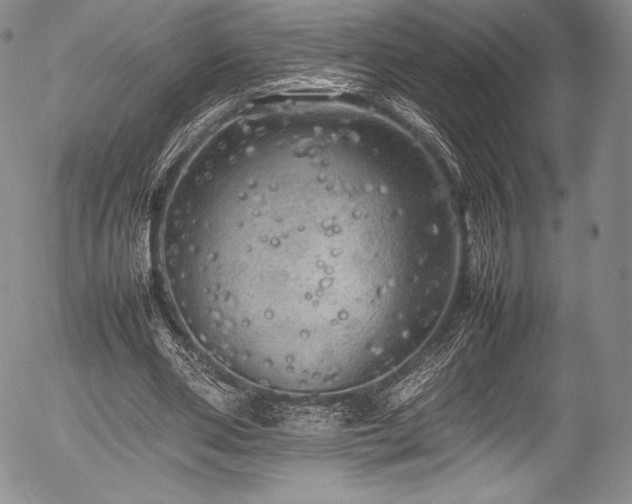 X0000054410486200508011326