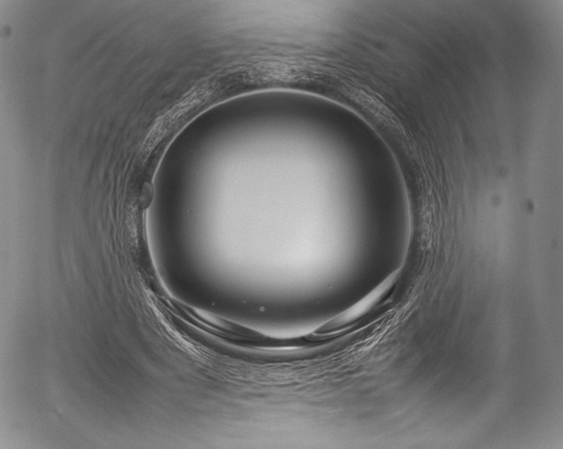 X0000054410489200508011326
