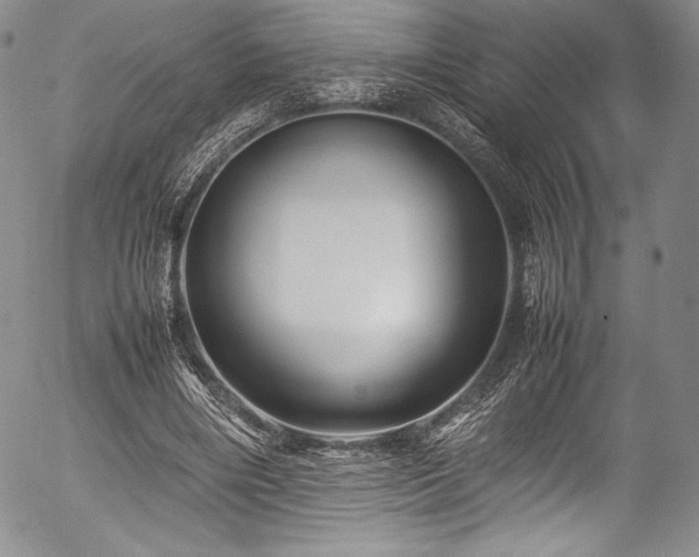 X0000054410490200508011326
