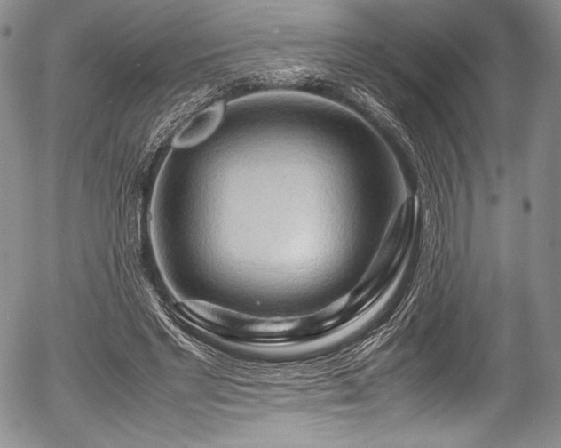 X0000054410493200508011326