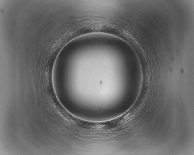 X0000054410497200508011326