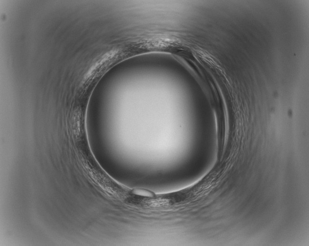 X0000054410501200508011326