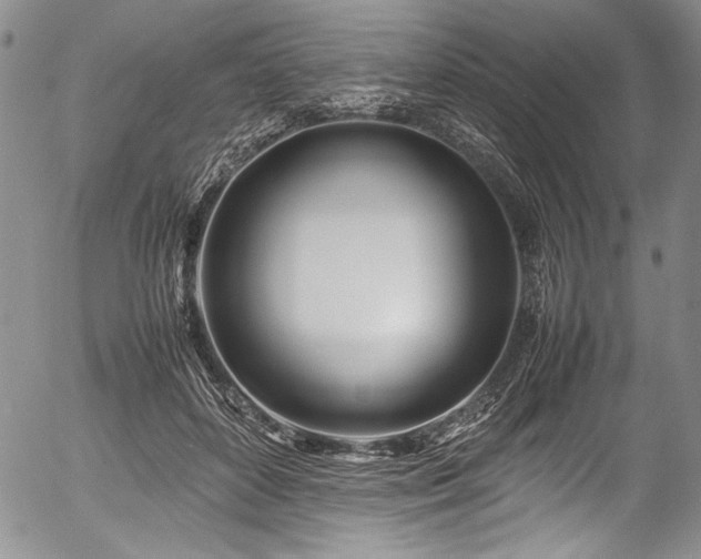 X0000054410504200508011326