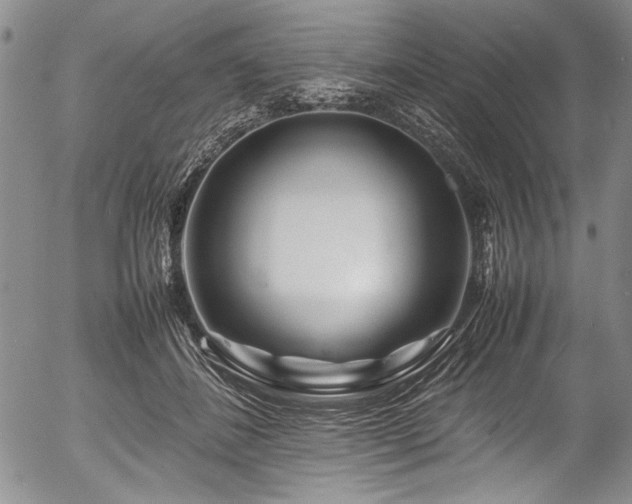 X0000054410508200508011326