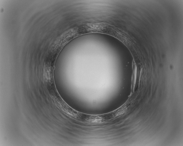 X0000054410514200508011325