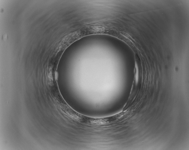 X0000054410516200508011325