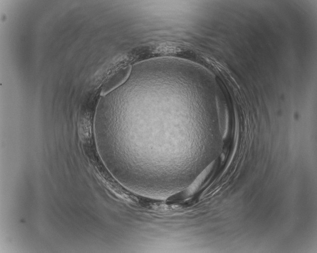 X0000054410517200508011325