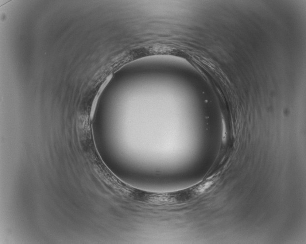 X0000054410521200508011325